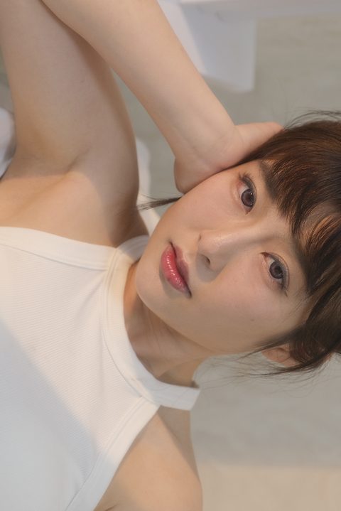 Stellar Dream model